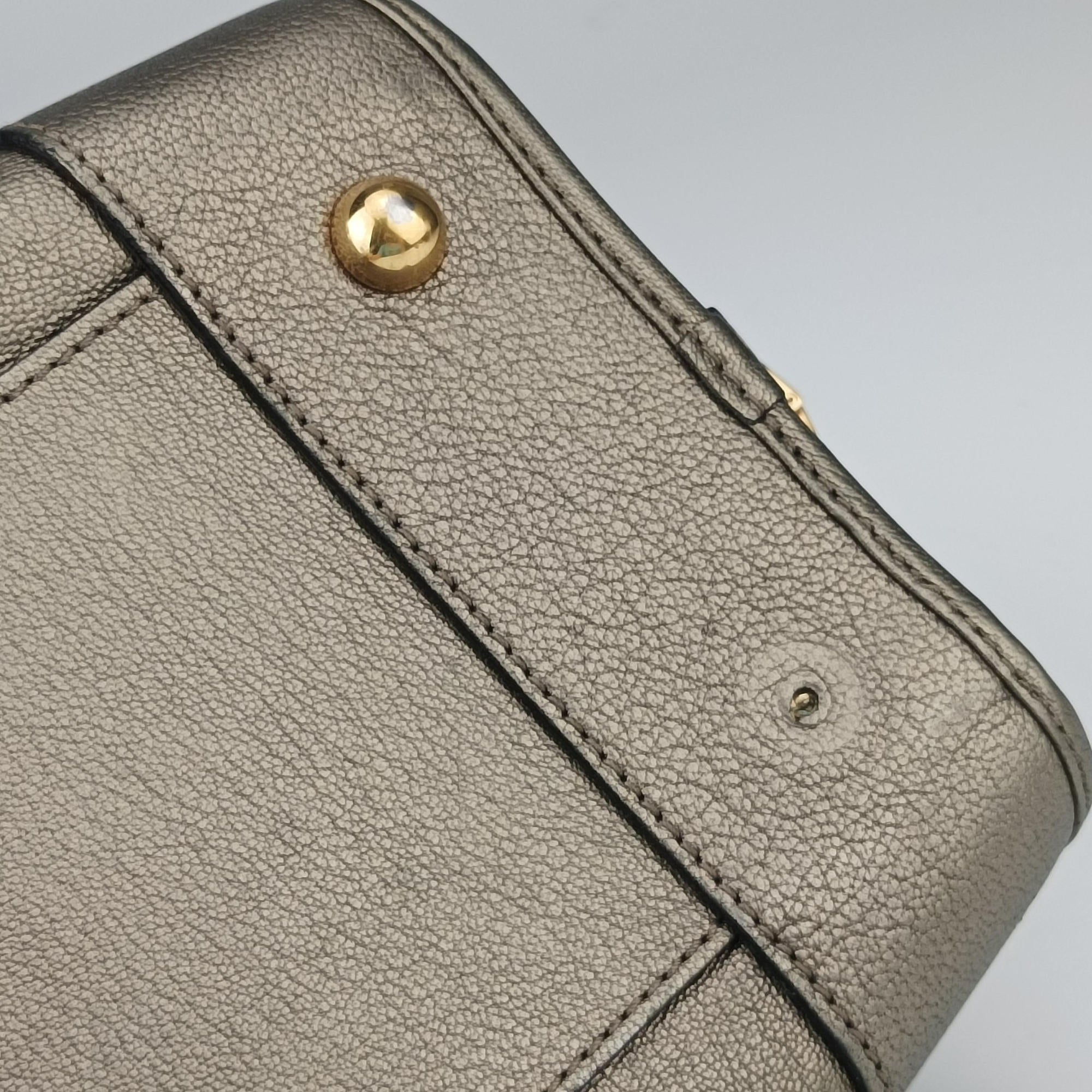 Amazona 36 Golden Leather 01 11 11アマソナ36 ゴールド レザー 01 11 11