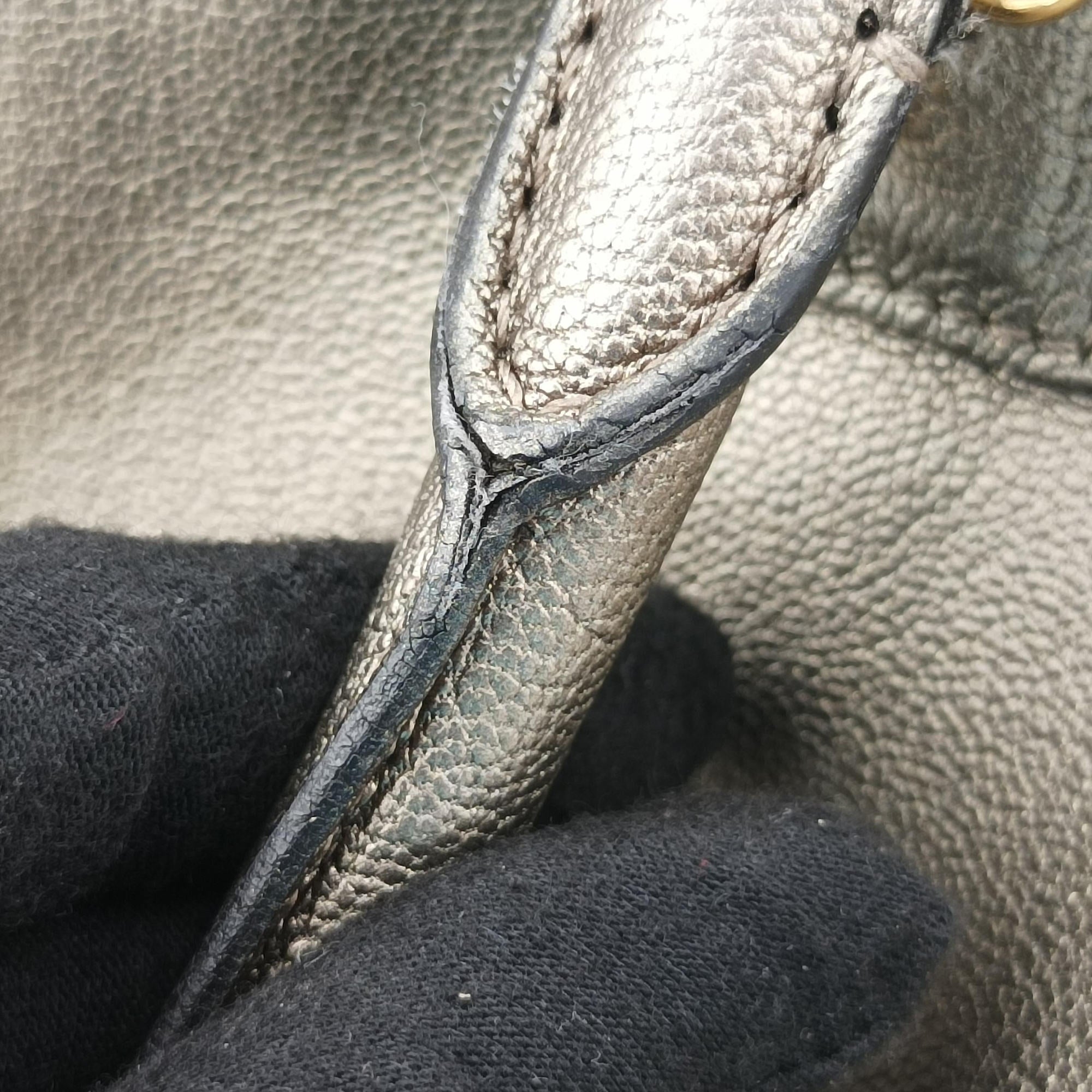 Amazona 36 Golden Leather 01 11 11アマソナ36 ゴールド レザー 01 11 11
