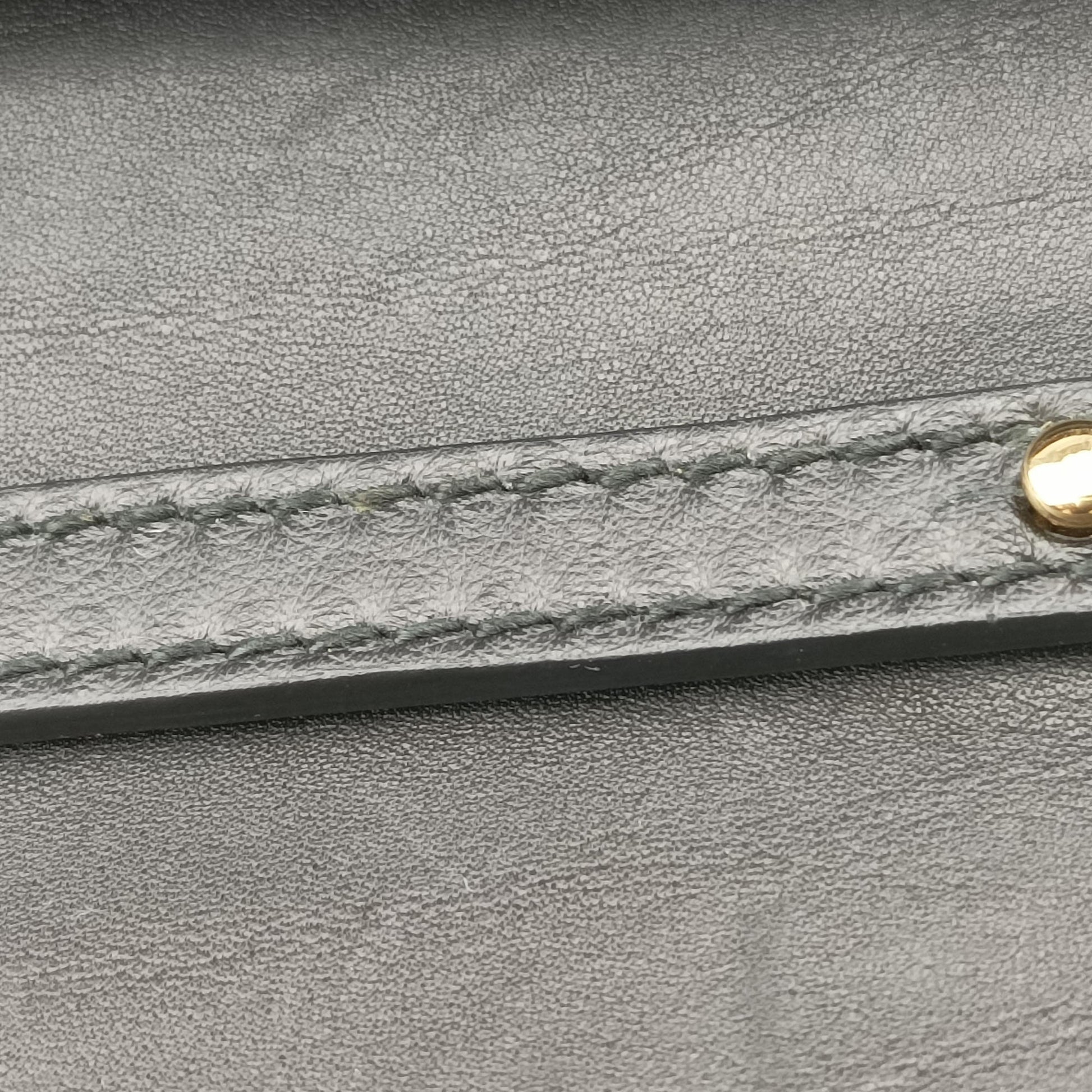 Dauphine Leopard Brown Coated Canvas レオパード ヒョウ柄 ブラウン コーティングキャンバス 