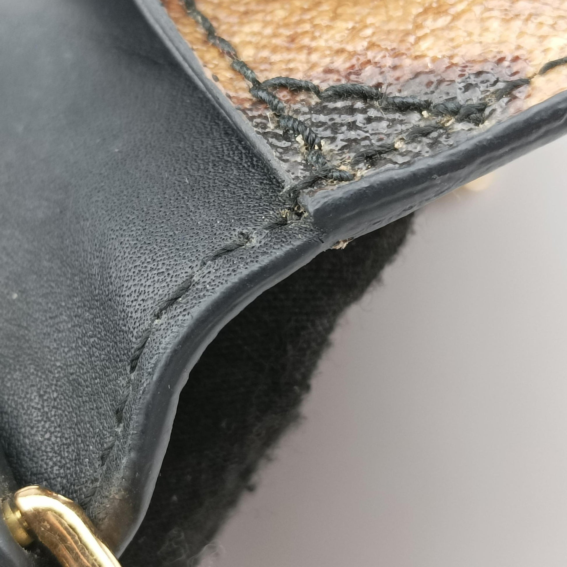 Dauphine Leopard Brown Coated Canvas レオパード ヒョウ柄 ブラウン コーティングキャンバス 