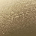 SEGA collaboration GUCCY print Golden Leather 511189 F024704930セガ コラボ GUCCYプリント ゴールド レザー 511189 F024704930