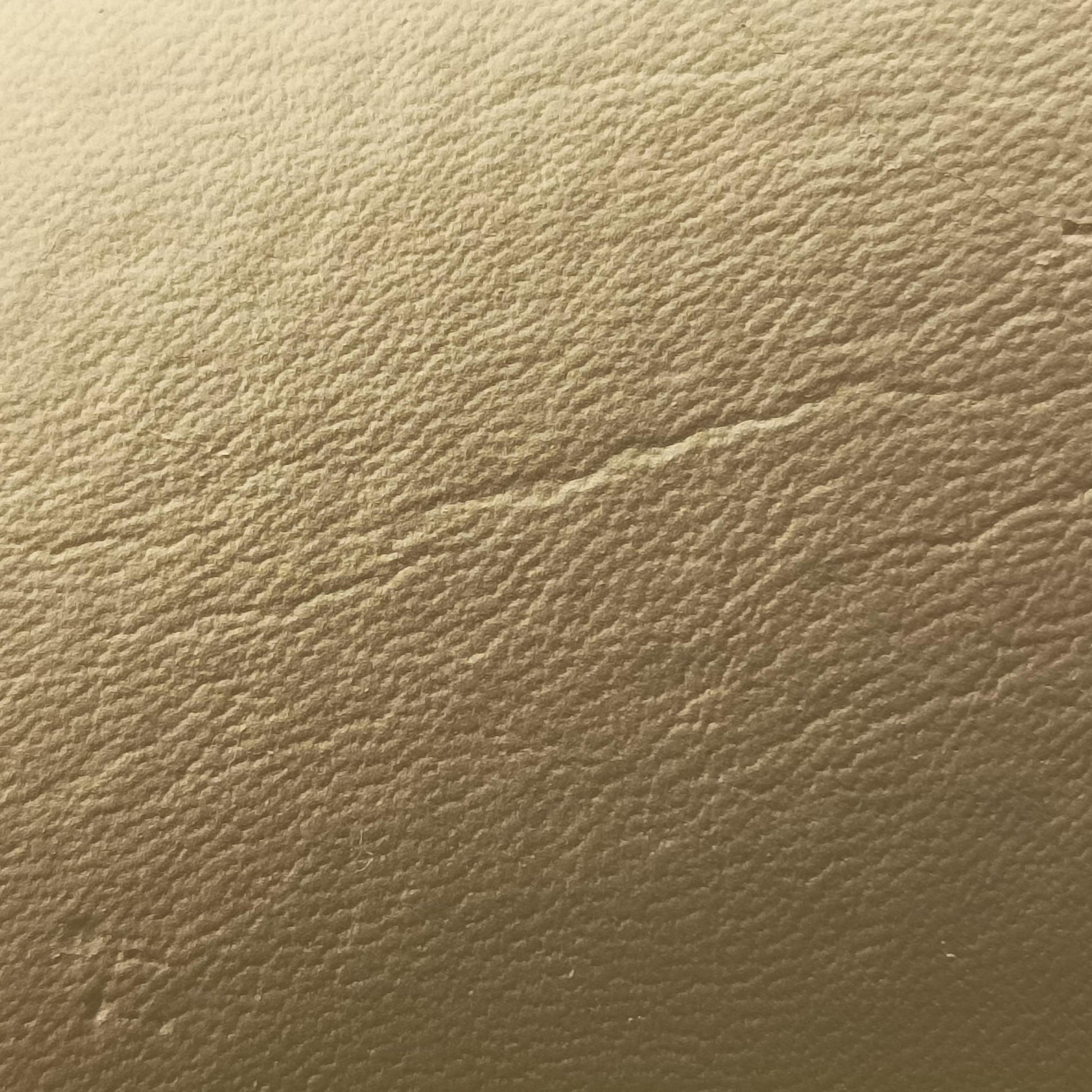 SEGA collaboration GUCCY print Golden Leather 511189 F024704930セガ コラボ GUCCYプリント ゴールド レザー 511189 F024704930
