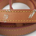 Time Trunk Speedy Bandouliere 25 Damier Ebene × Rouge Transformed Damier Canvas M52249 SN3118タイムトランク スピーディ バンドリエール 25 ダミエ・エベヌ × ルージュ トランスフォームド ダミエ キャンバス M52249 SN3118