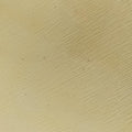 Promenade Yellow SAFFIANO Leather BN2558 7 Bプロムナード イエロー サフィアーノレザー BN2558 7 B