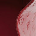 Brea MM ROSE INDIEN Vernis M91798 DR1143ブレアMM ローズアンディアン ヴェルニ M91798 DR1143