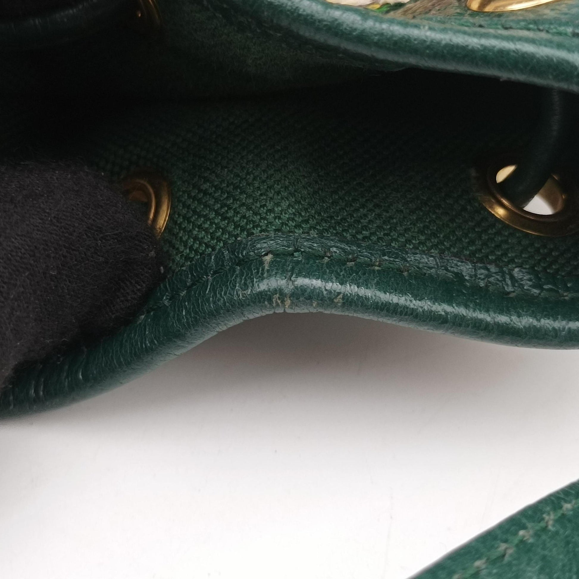 100th Anniversary Ophidia Mini Bucket Green×Multi-color Canvas×Leather 676682 I035885864100周年記念 オフィディア ミニ バケツ グリーン×マルチ キャンバス×レザー 676682 I035885864