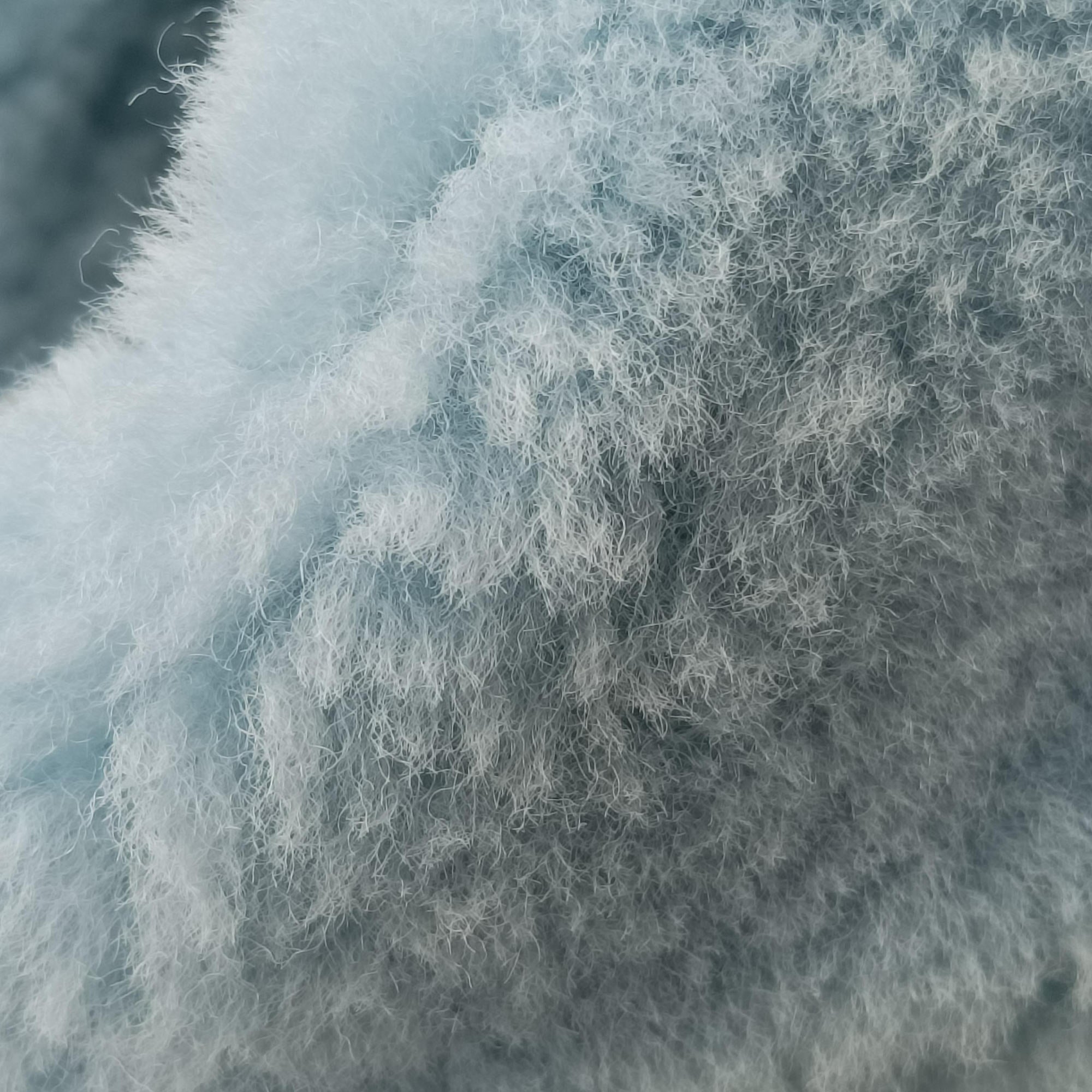 The Jodie Blue Fur B10087595Lザ ジョディ ブルー ファー B10087595L