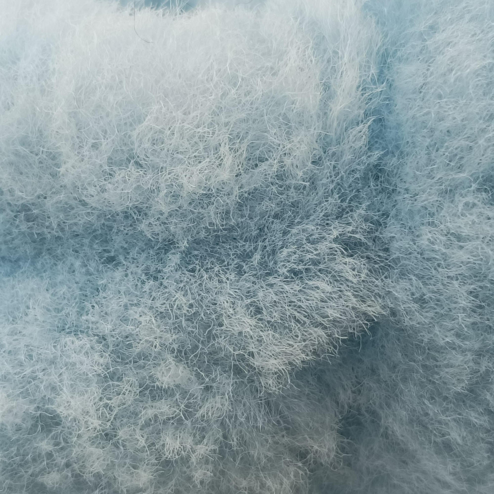 The Jodie Blue Fur B10087595Lザ ジョディ ブルー ファー B10087595L