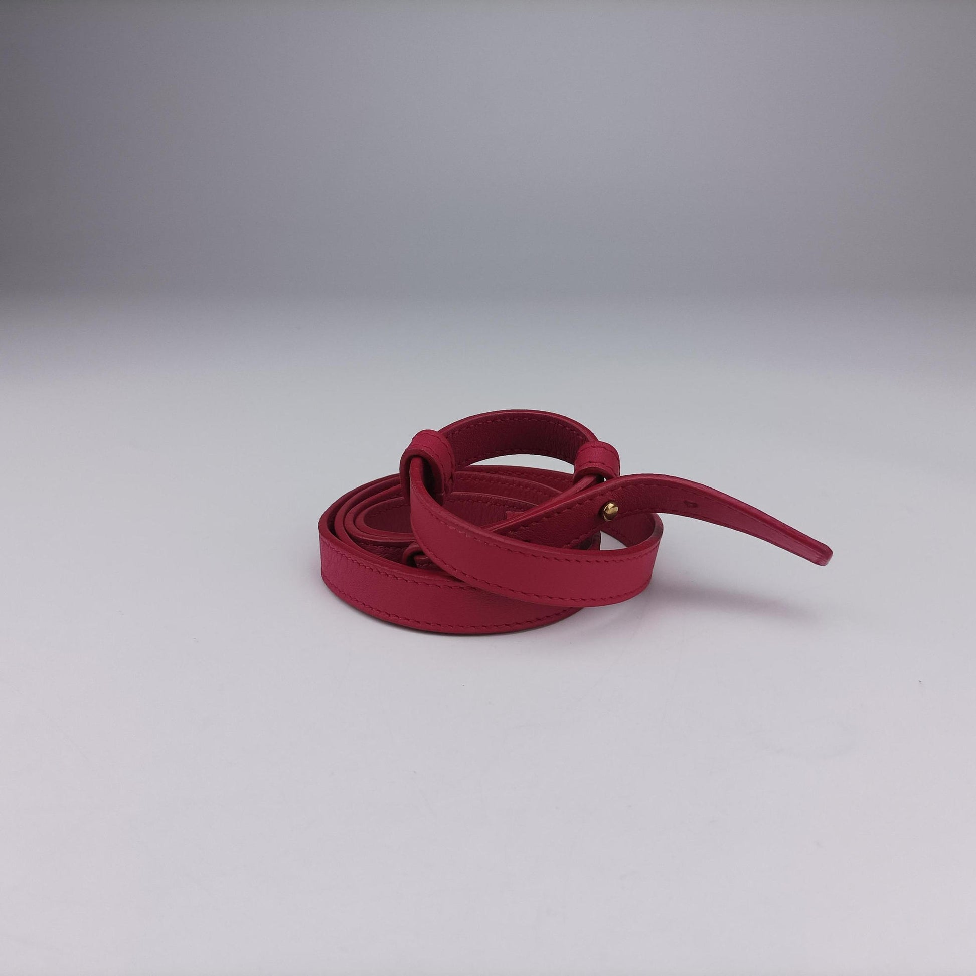 Y Ligne Petit Cabas Rose Leather 311210 311210.529258Yライン プチカバス ローズ レッド レザー 311210 311210.529258