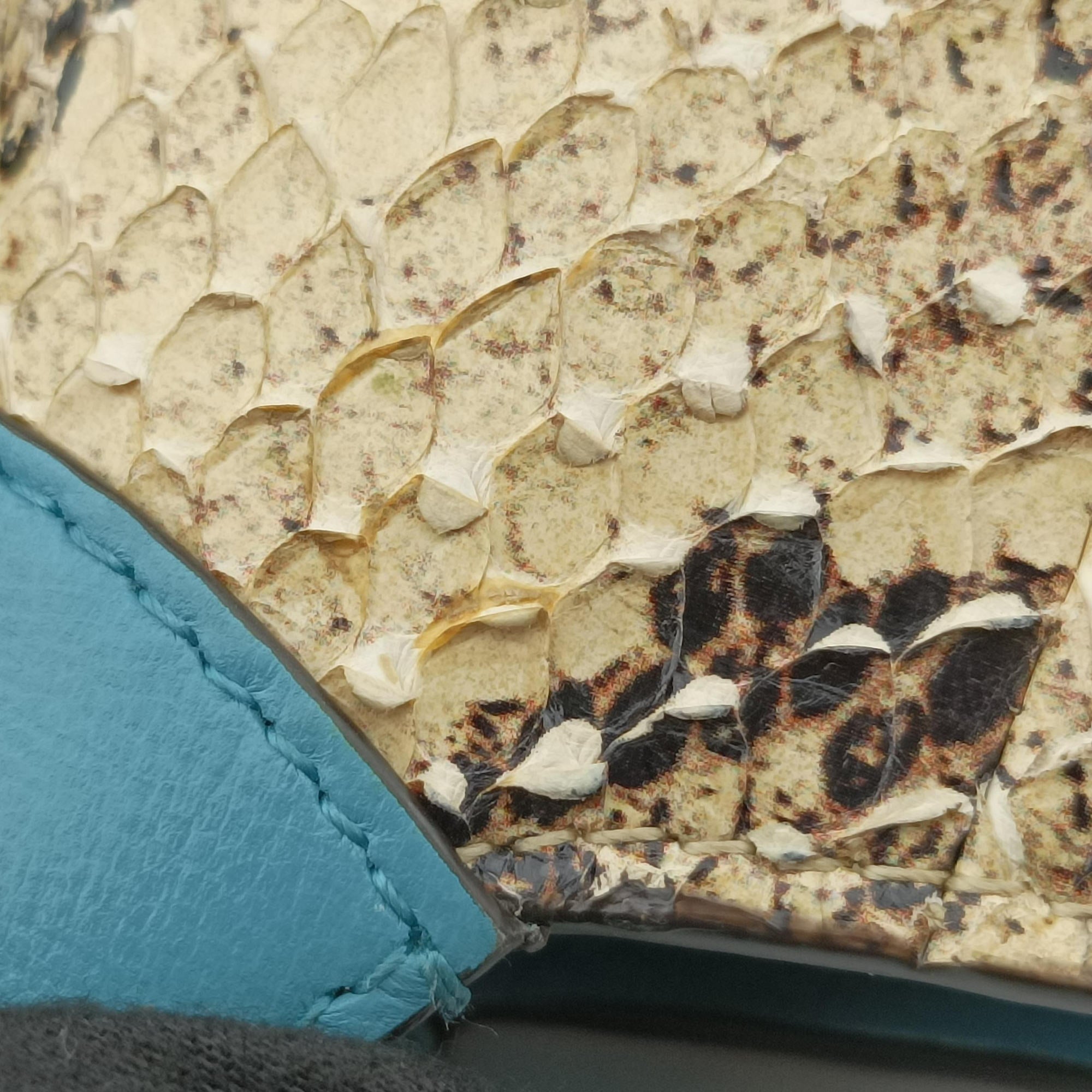 JACKIE 1961 Blue × Red Python × Leather 636706 I03595990ジャッキー 1961 ブルー × レッド パイソン × レザー 636706 I03595990