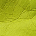 Le Cagole Yellow lambskin 695814.7206.R.493075ルカゴール イエロー ラムスキン 695814.7206.R.493075