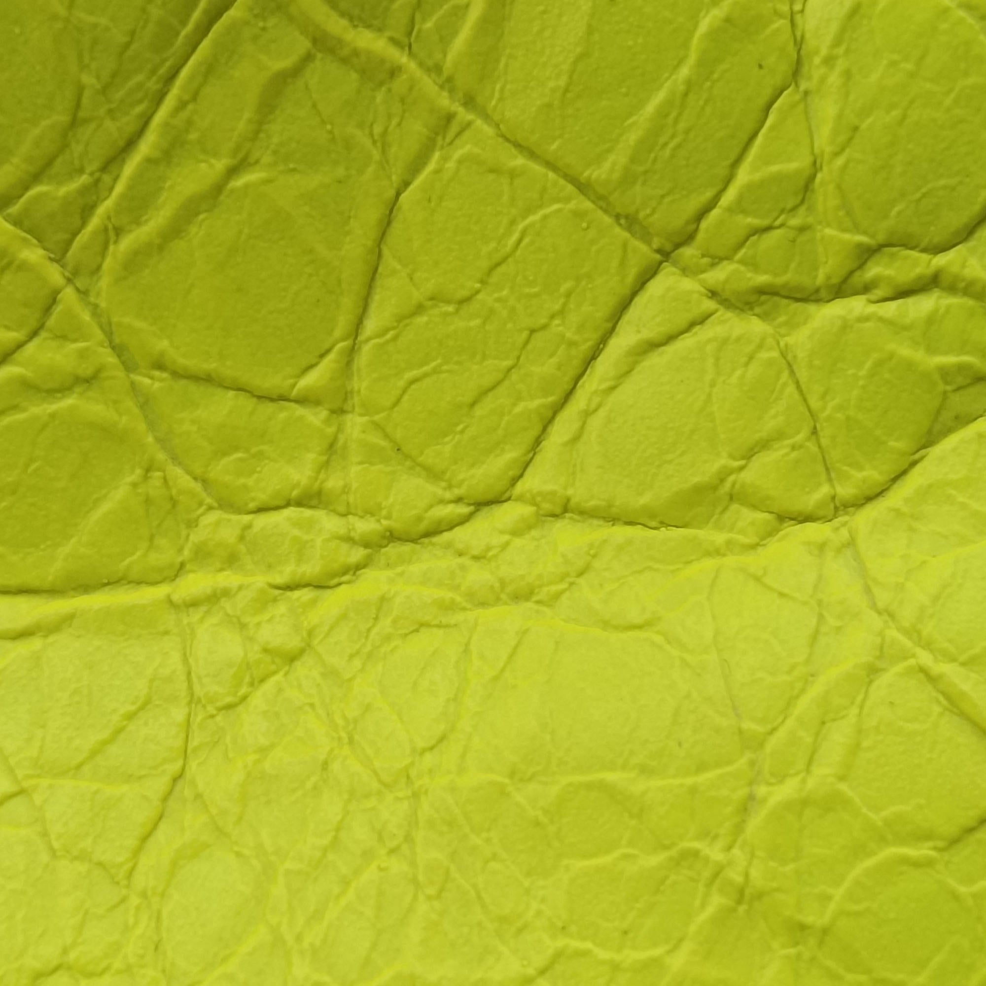 Le Cagole Yellow lambskin 695814.7206.R.493075ルカゴール イエロー ラムスキン 695814.7206.R.493075