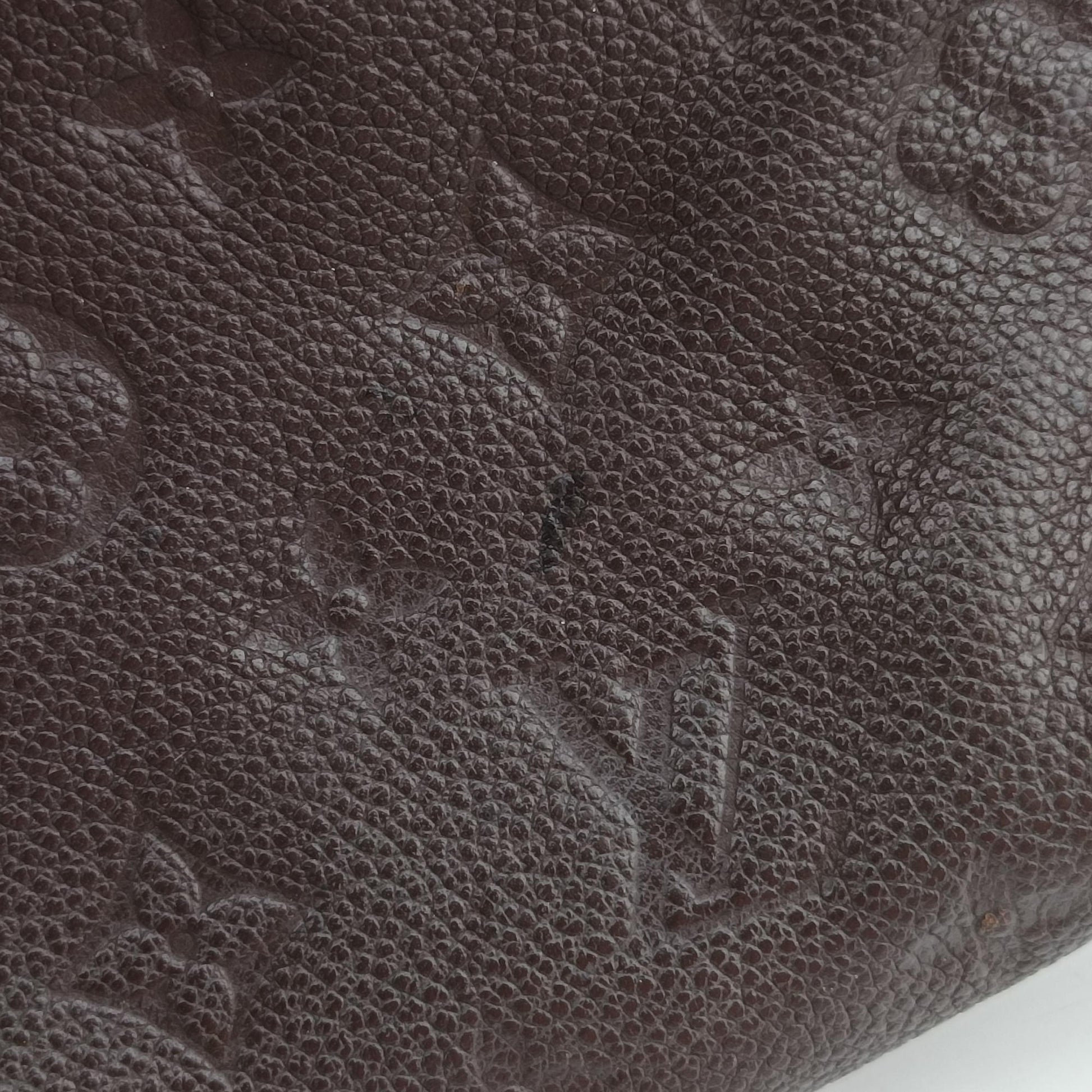 Fascinante Brown Monogram Empreinte M94226 TR4102ファシナント オーラル モノグラム アンプラント M94226 TR4102