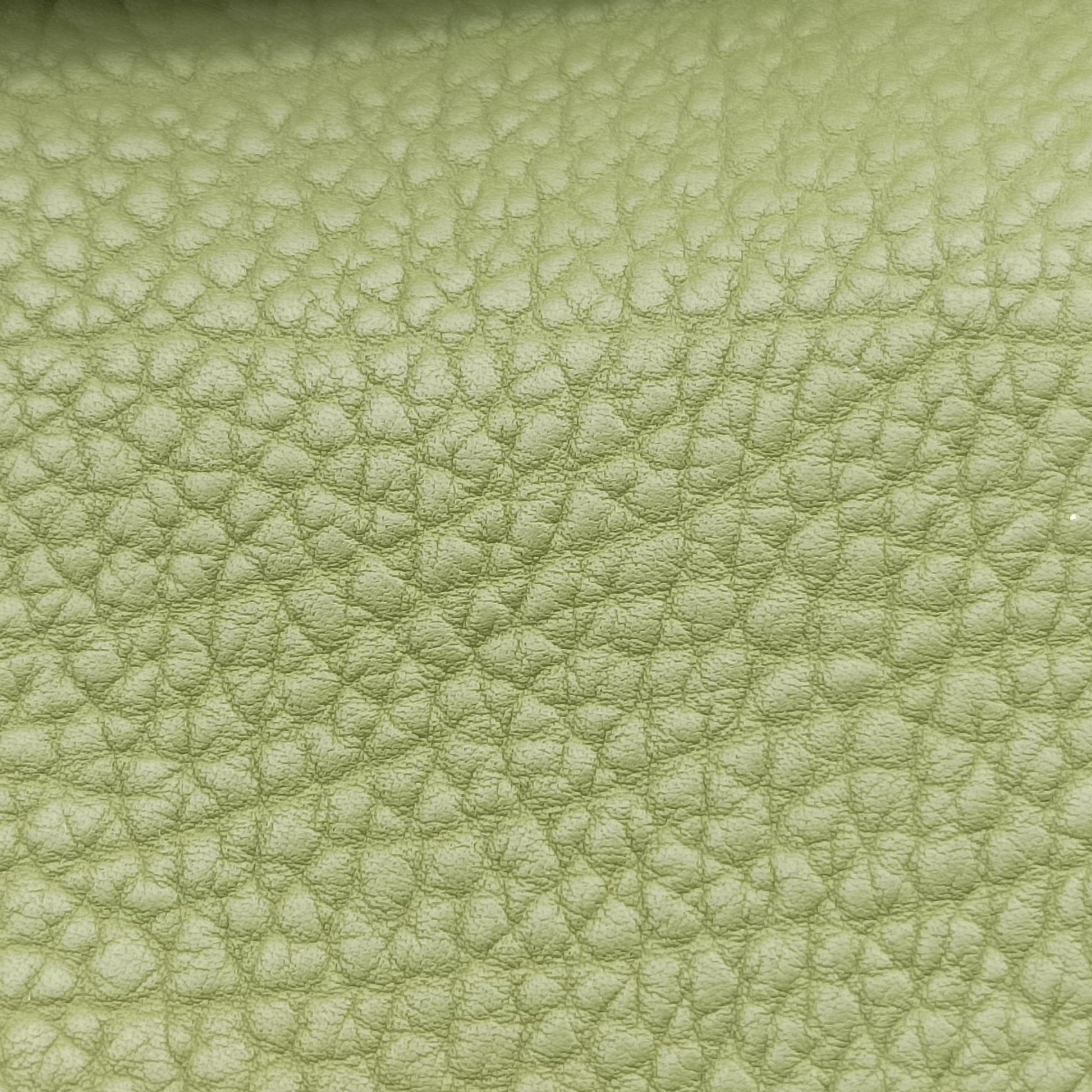 Mutin Green Leather CO6Hミュタン グリーン レザー CO6H