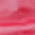 GG Marmont Red Leather 446744 A020098575GGマーモント レッド レザー 446744 A020098575