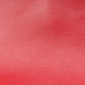GG Marmont Red Leather 476433 GGマーモント レッド レザー 476433 