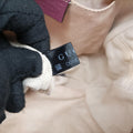 Soho Purple Leather 308364 D018391156ソーホー パープル レザー 308364 D018391156