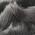 Fur logo flap Black Fur Lot number unknownファー ロゴ フラップ ブラック ファー 製番不明