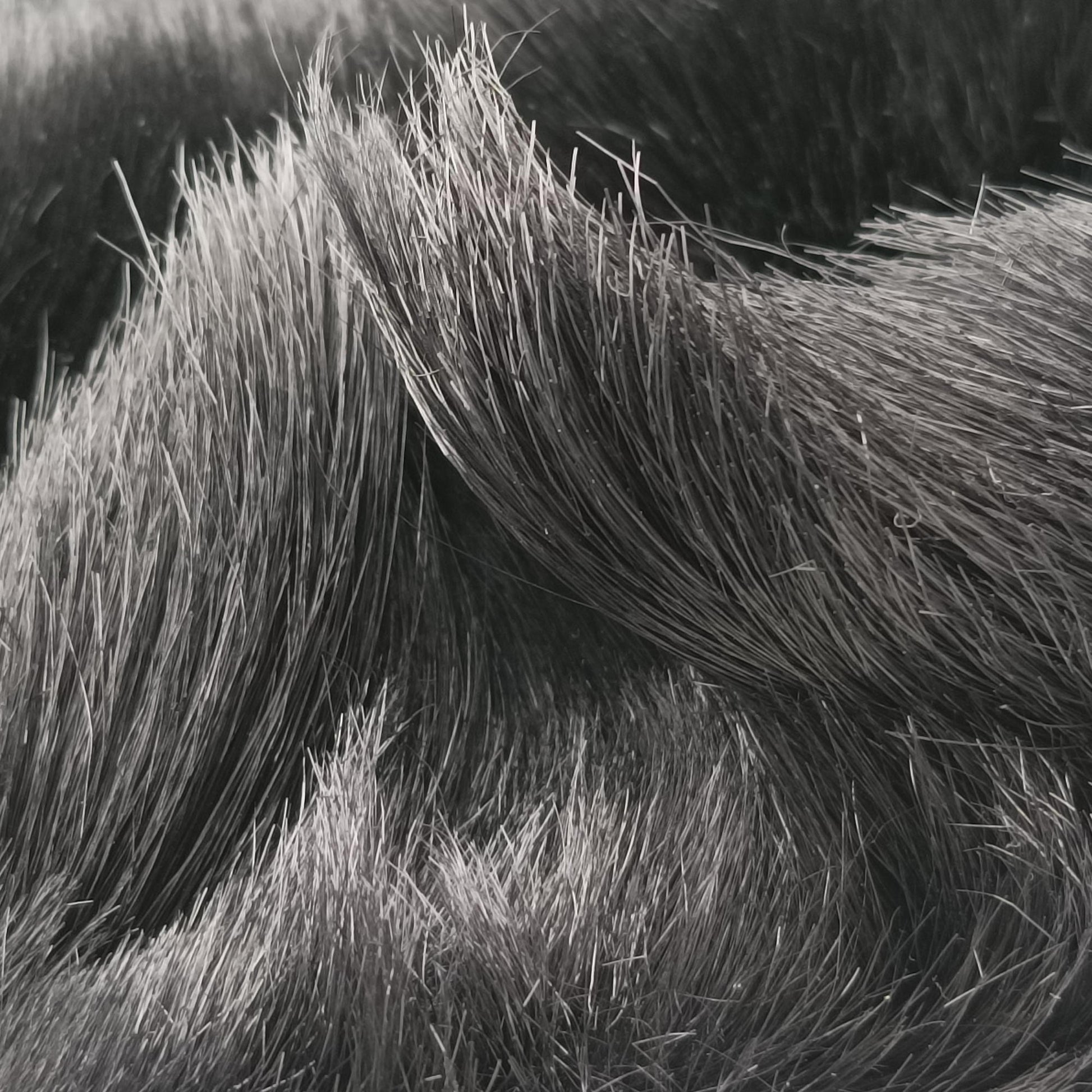 Fur logo flap Black Fur Lot number unknownファー ロゴ フラップ ブラック ファー 製番不明