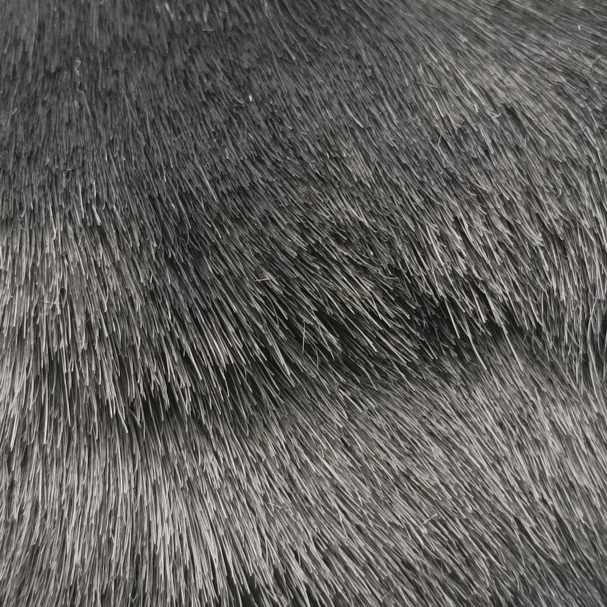 Fur logo flap Black Fur Lot number unknownファー ロゴ フラップ ブラック ファー 製番不明