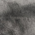 Fur logo flap Black Fur Lot number unknownファー ロゴ フラップ ブラック ファー 製番不明
