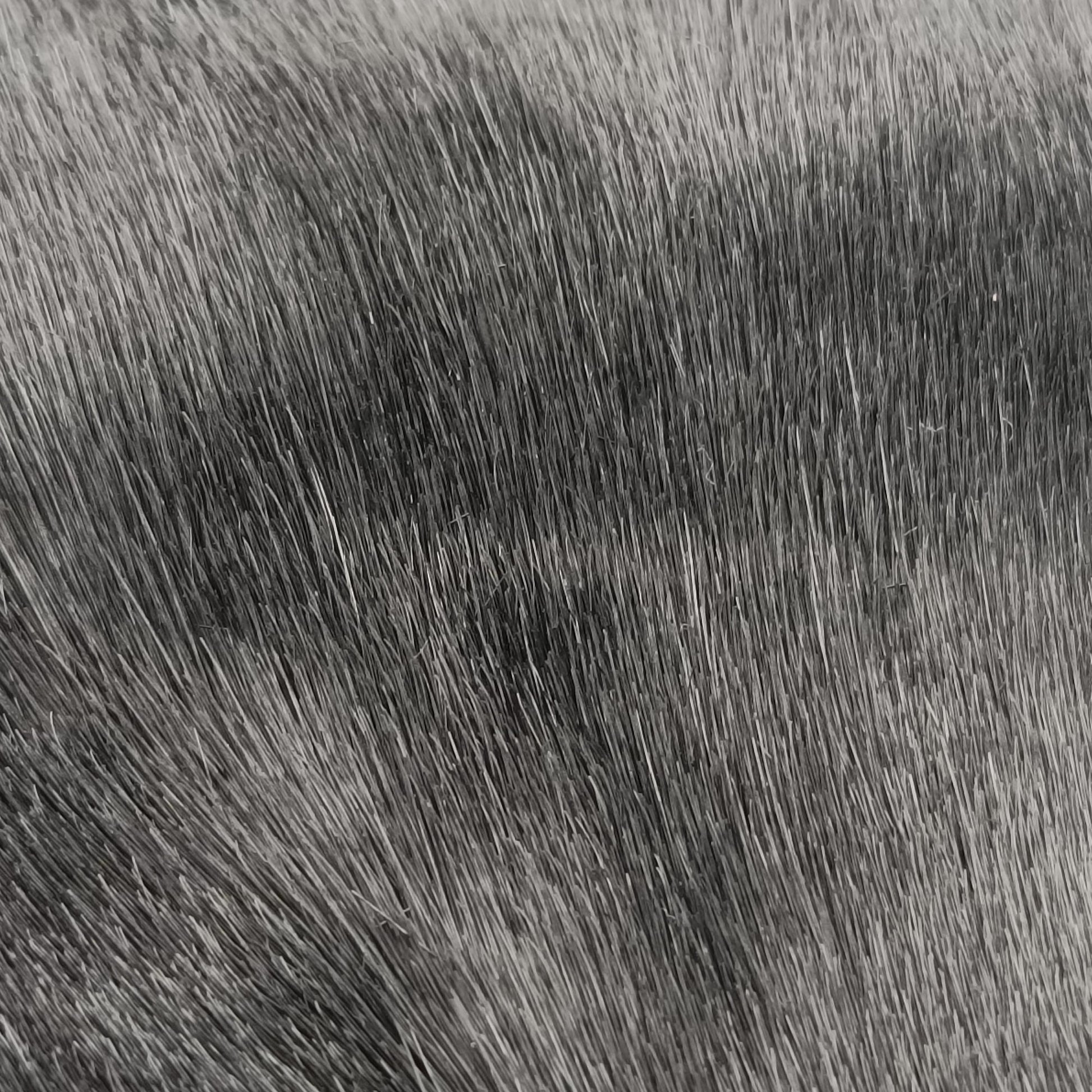 Fur logo flap Black Fur Lot number unknownファー ロゴ フラップ ブラック ファー 製番不明