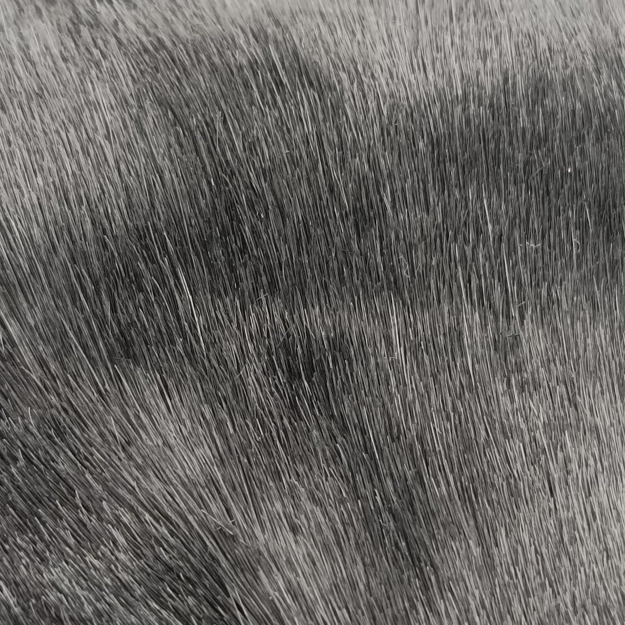 Fur logo flap Black Fur Lot number unknownファー ロゴ フラップ ブラック ファー 製番不明