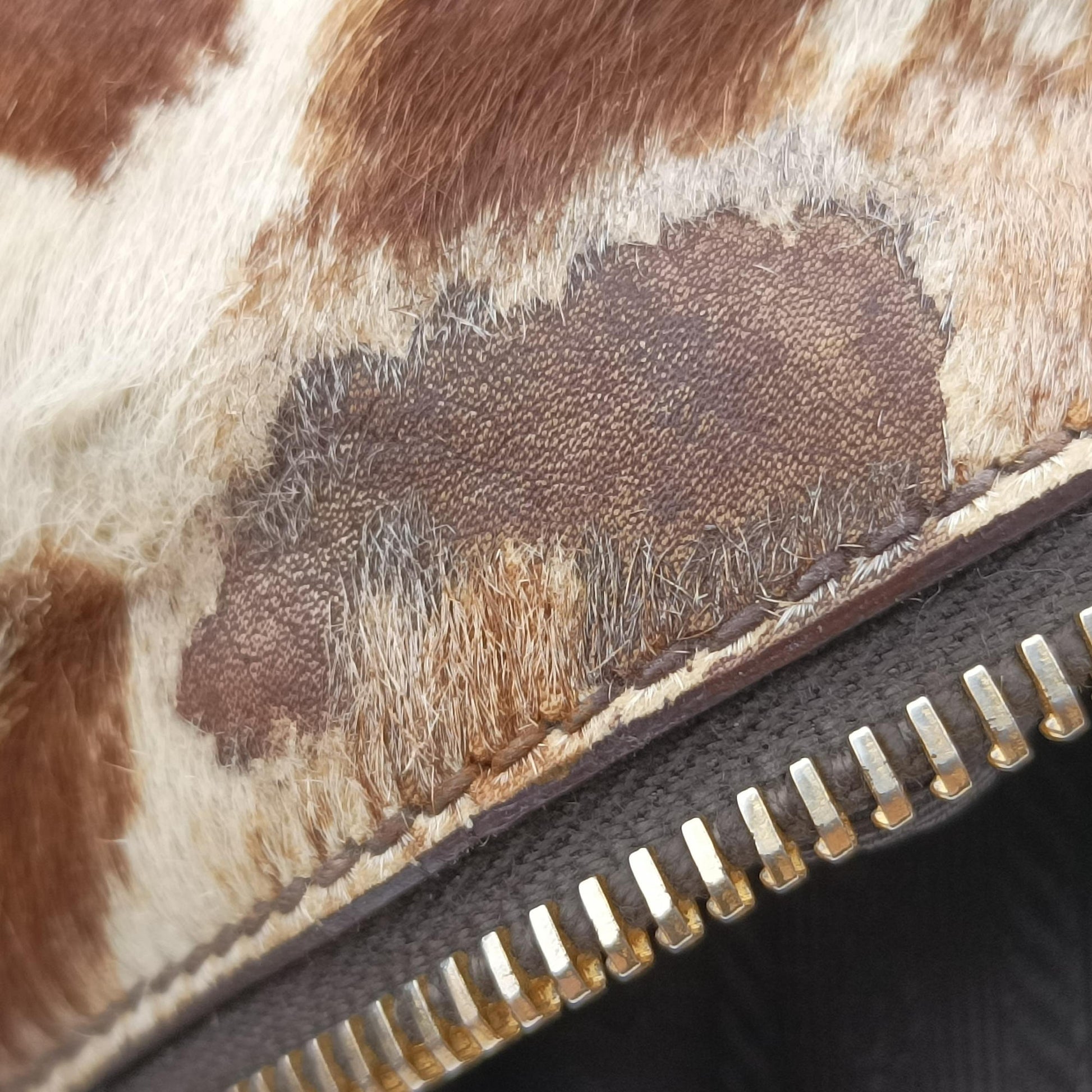 Leopard print Multicolour ponyhair　 123ヒョウ柄レオバード マルチカラー ハラコ 123