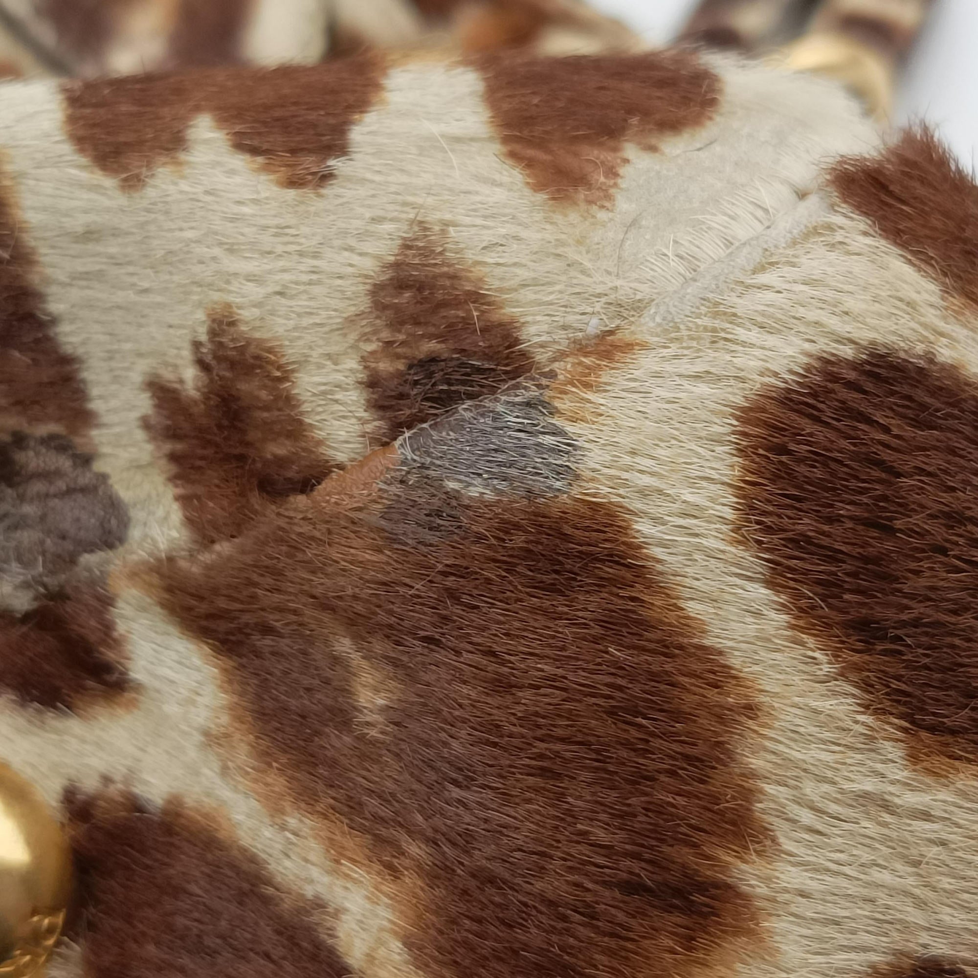 Leopard print Multicolour ponyhair　 123ヒョウ柄レオバード マルチカラー ハラコ 123