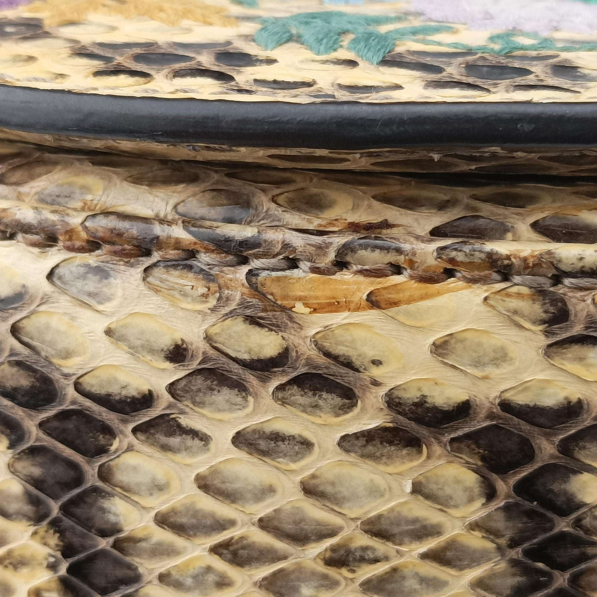 Bamboo Beige×Multi snakeskin 495880 E024438431バンブー ベージュ×マルチ ヘビ革 495880 E024438431