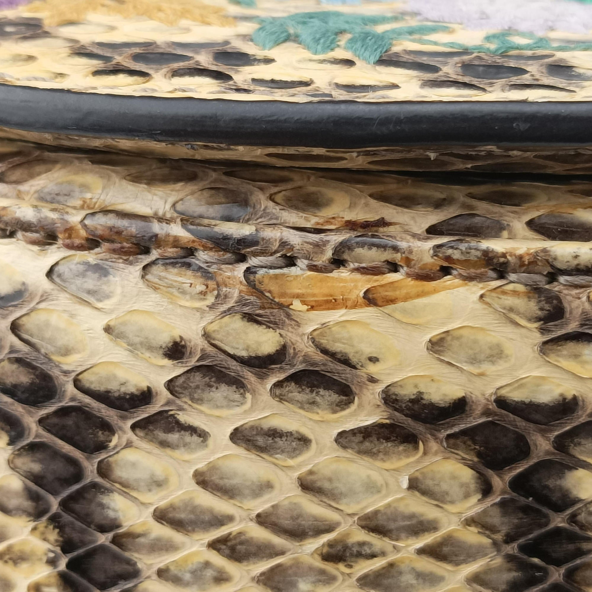 Bamboo Beige×Multi snakeskin 495880 E024438431バンブー ベージュ×マルチ ヘビ革 495880 E024438431
