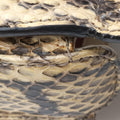 Bamboo Beige×Multi snakeskin 495880 E024438431バンブー ベージュ×マルチ ヘビ革 495880 E024438431