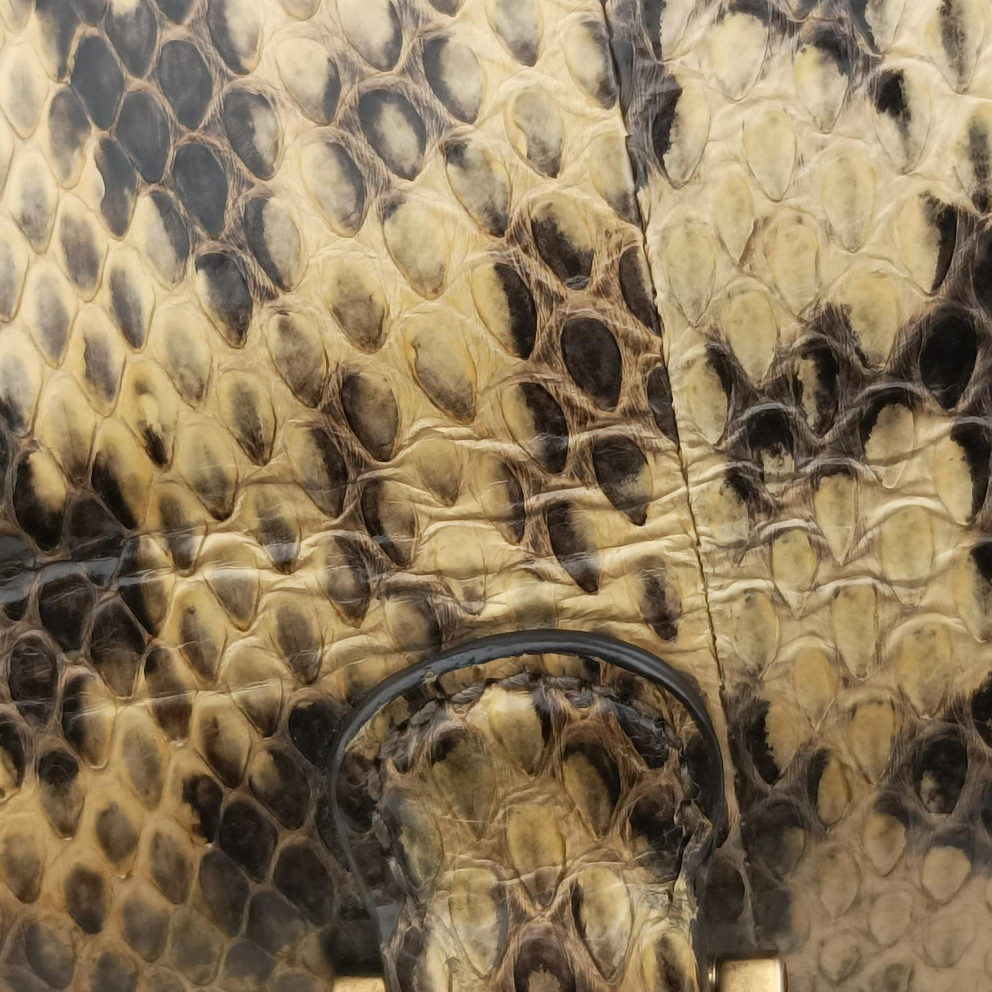 Bamboo Beige×Multi snakeskin 495880 E024438431バンブー ベージュ×マルチ ヘビ革 495880 E024438431