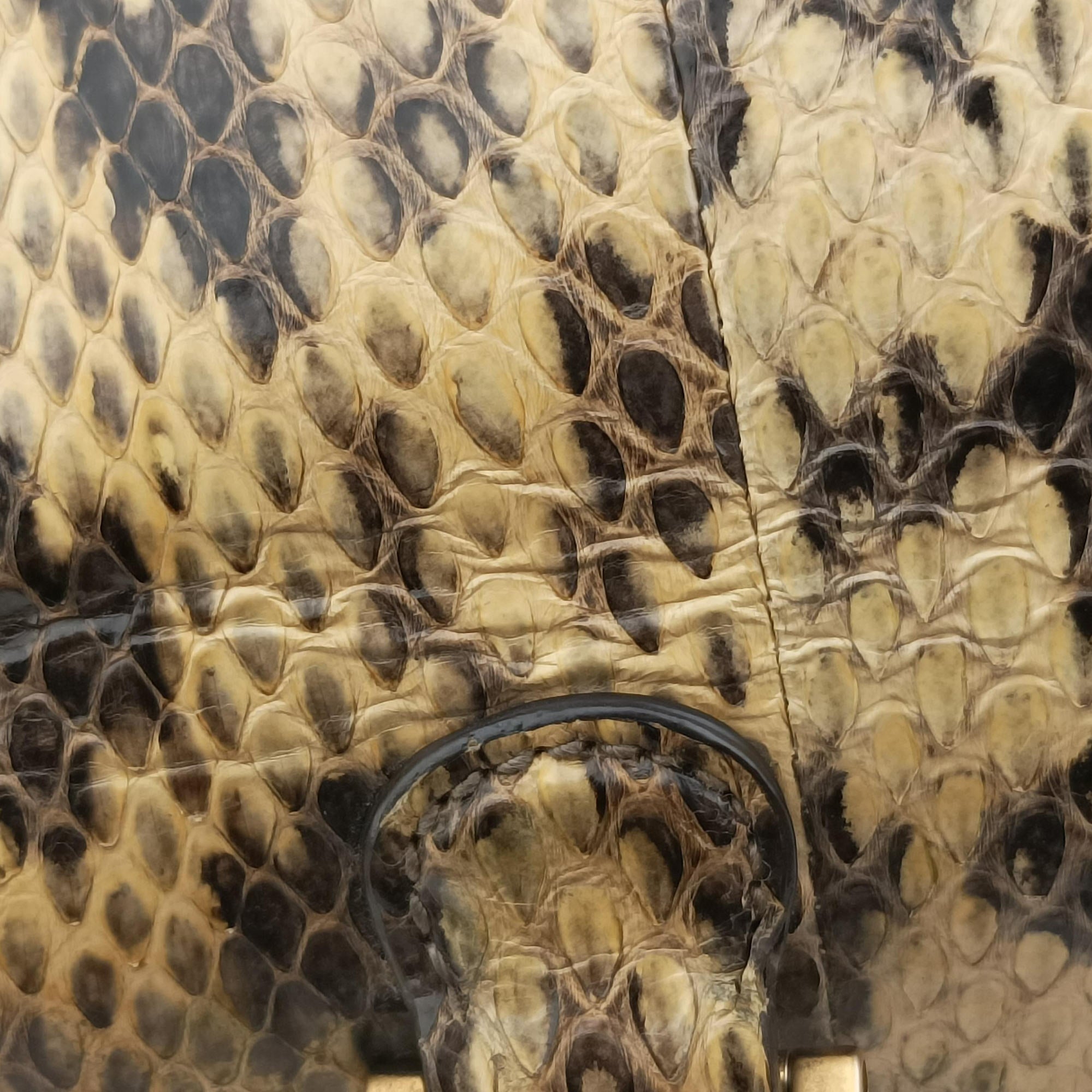 Bamboo Beige×Multi snakeskin 495880 E024438431バンブー ベージュ×マルチ ヘビ革 495880 E024438431