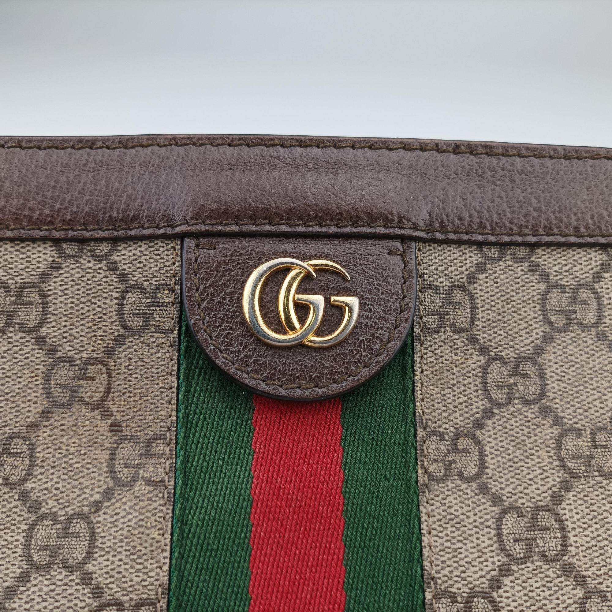 Ophidia Brown×Red×Green PVC coated canvas×Leather 503877 F022994361オフィディア ブラウン×レッド×グリーン PVCコーティングキャンバス×レザー 503877 F022994361