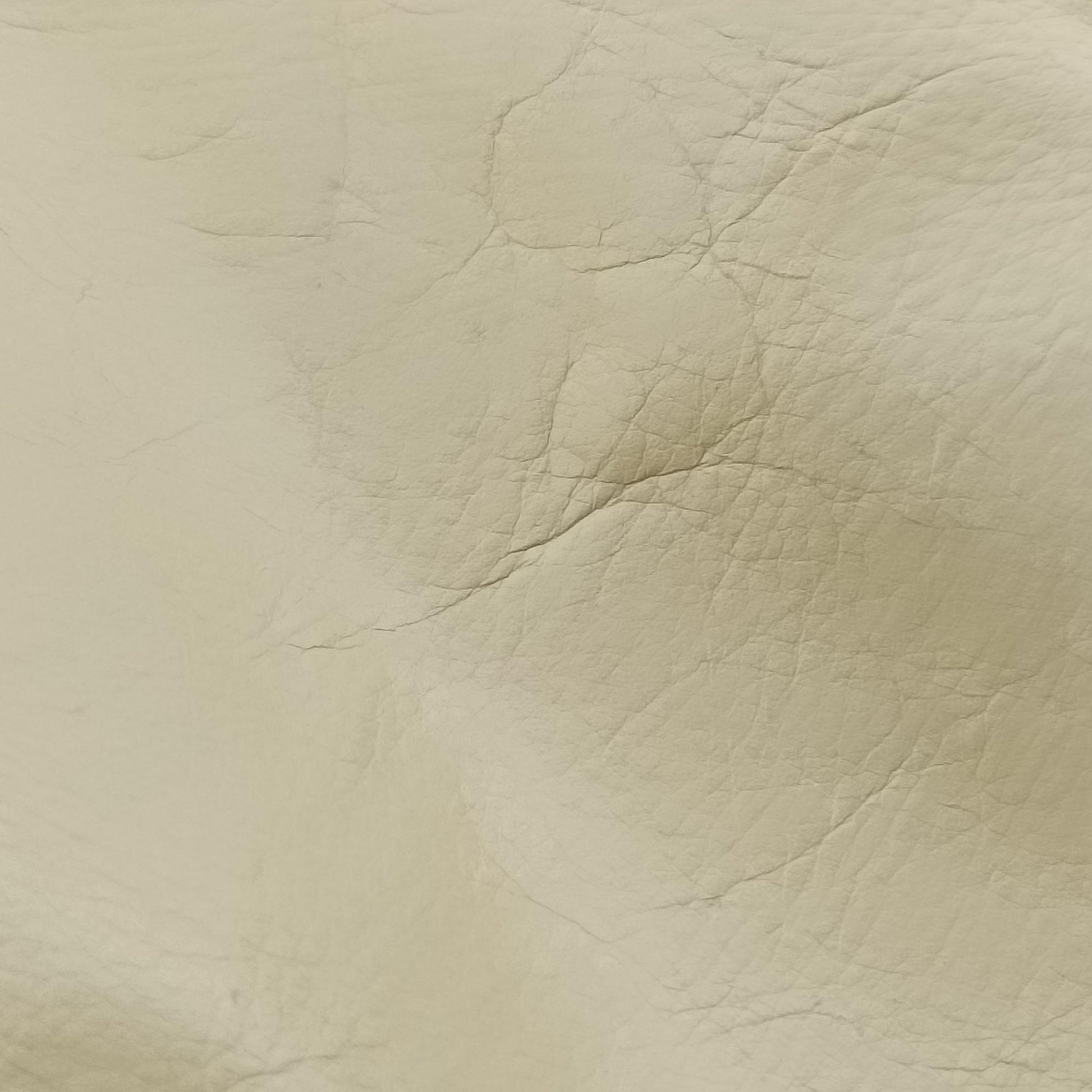 Sherry Line Beige Leather 181485 D2248891シェリーライン ベージュ レザー 181485 D2248891