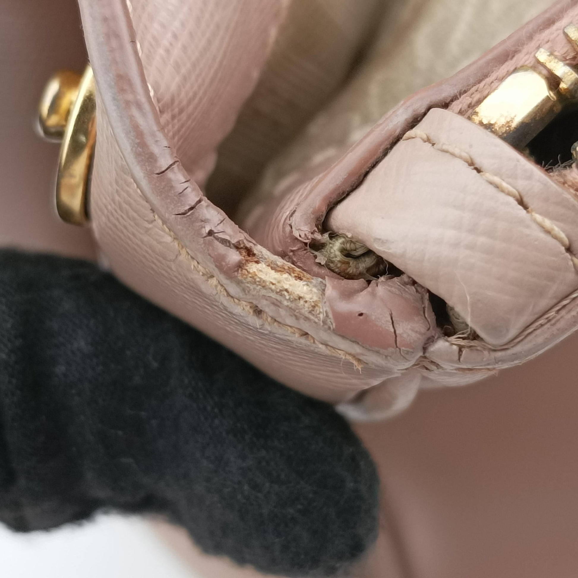 Galleria Pink SAFFIANO Leather BN1786 173  31/Uガレリア ピンク サフィアーノレザー BN1786 173  31/U