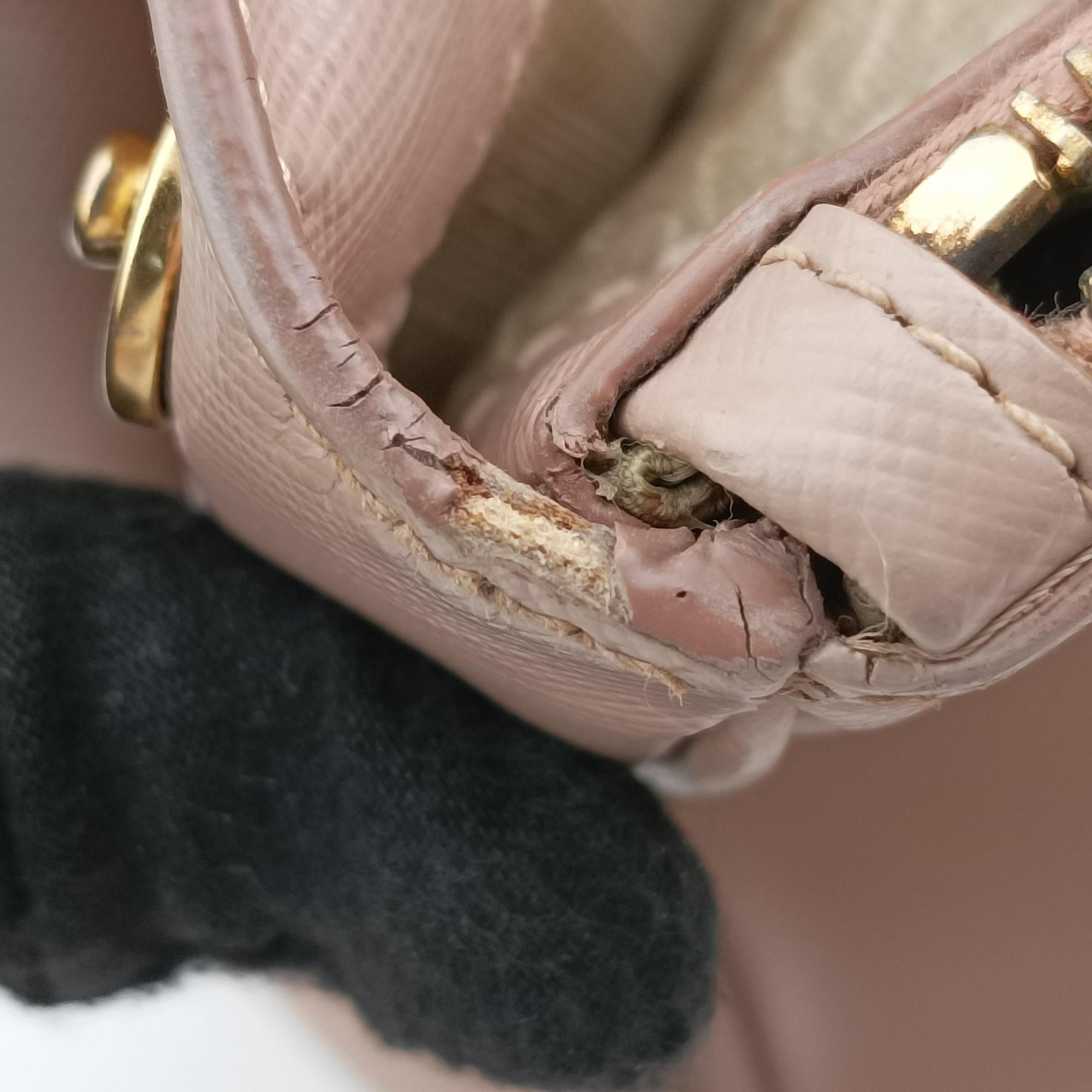 Galleria Pink SAFFIANO Leather BN1786 173  31/Uガレリア ピンク サフィアーノレザー BN1786 173  31/U