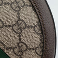 Ophidia Brown×beige×multi PVC coated canvas×Leather 550618 G029343151オフィディア ブラウン×ベージュ×マルチ PVCコーティングキャンバス×レザー 550618 G029343151