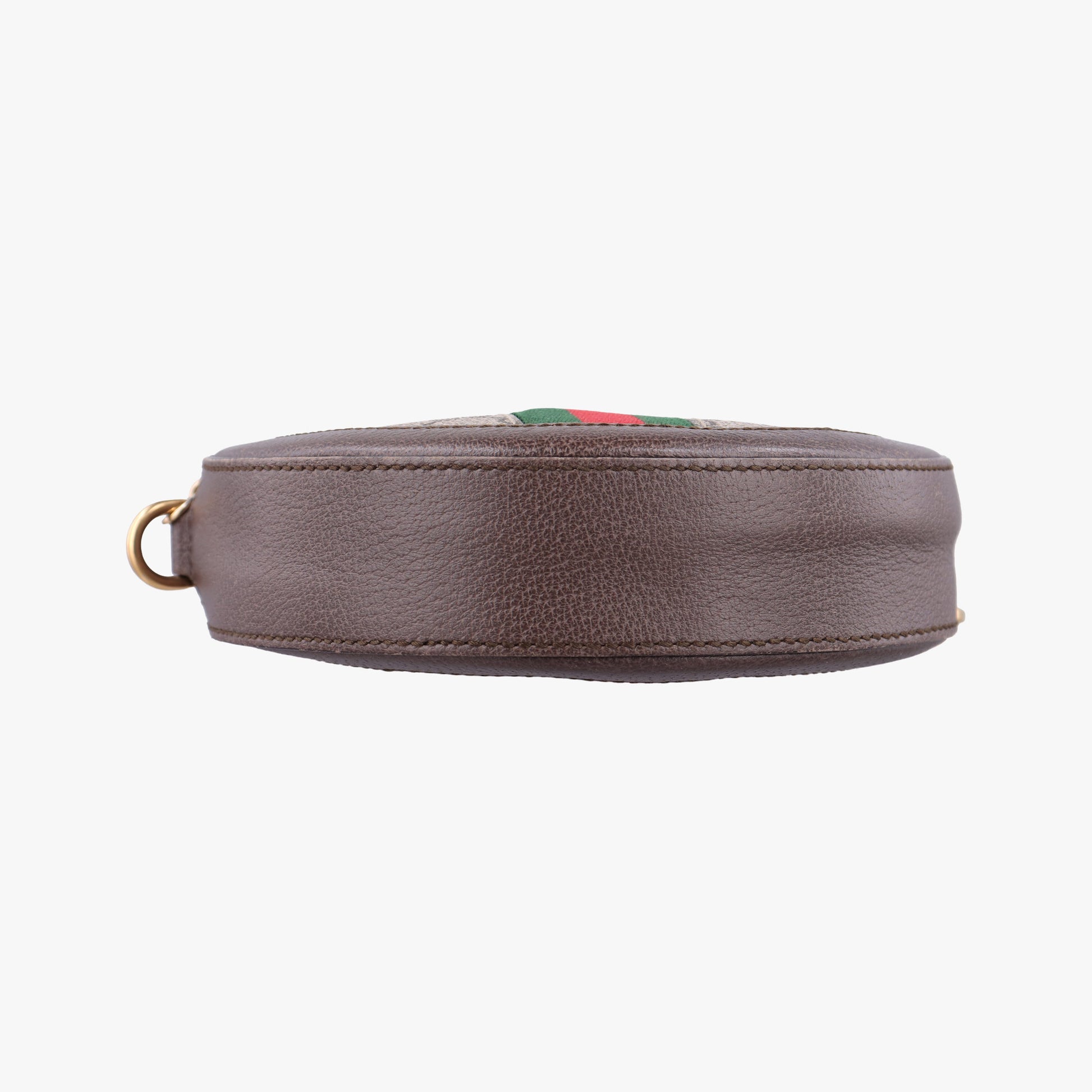 Ophidia Brown×beige×multi PVC coated canvas×Leather 550618 G029343151オフィディア ブラウン×ベージュ×マルチ PVCコーティングキャンバス×レザー 550618 G029343151