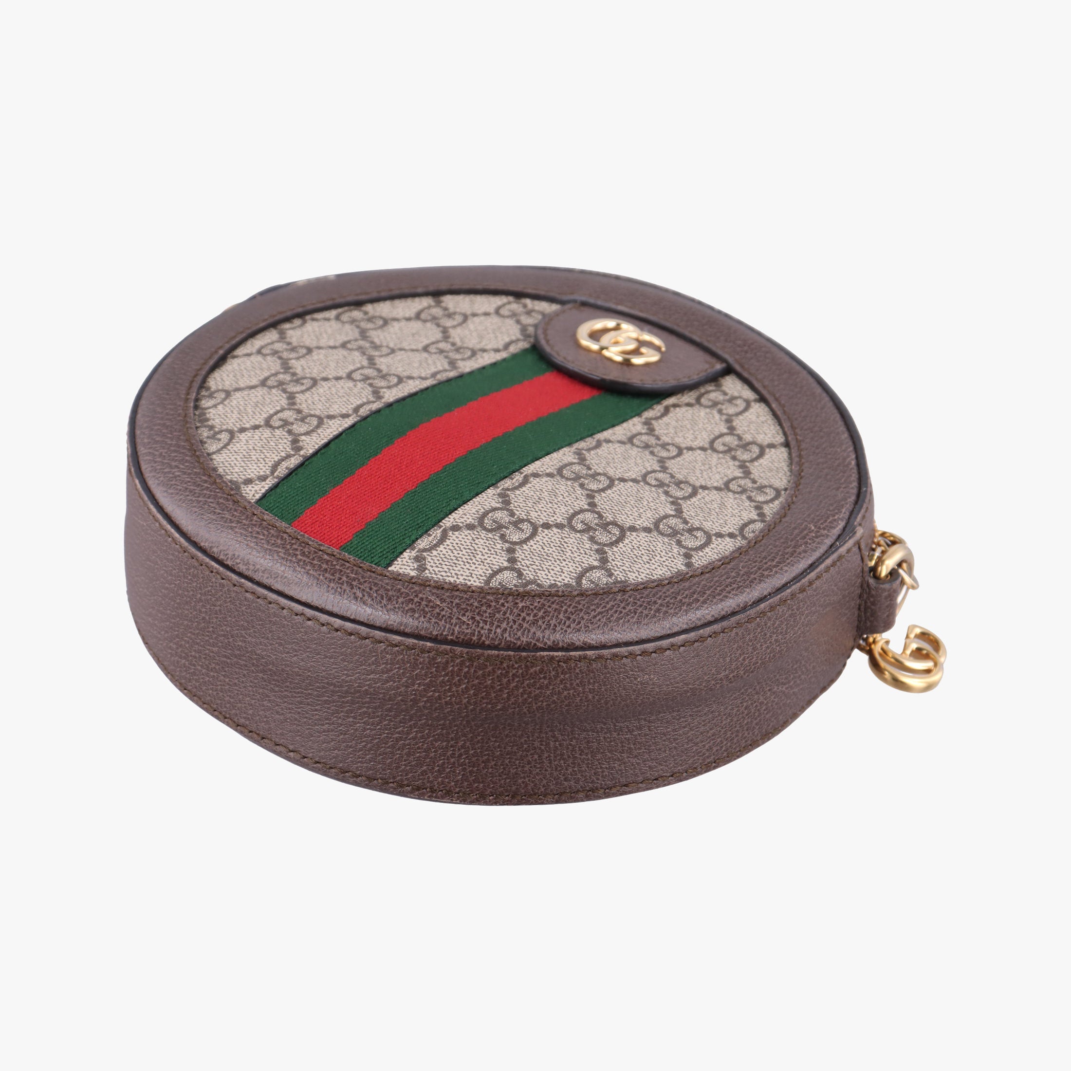 Ophidia Brown×beige×multi PVC coated canvas×Leather 550618 G029343151オフィディア ブラウン×ベージュ×マルチ PVCコーティングキャンバス×レザー 550618 G029343151