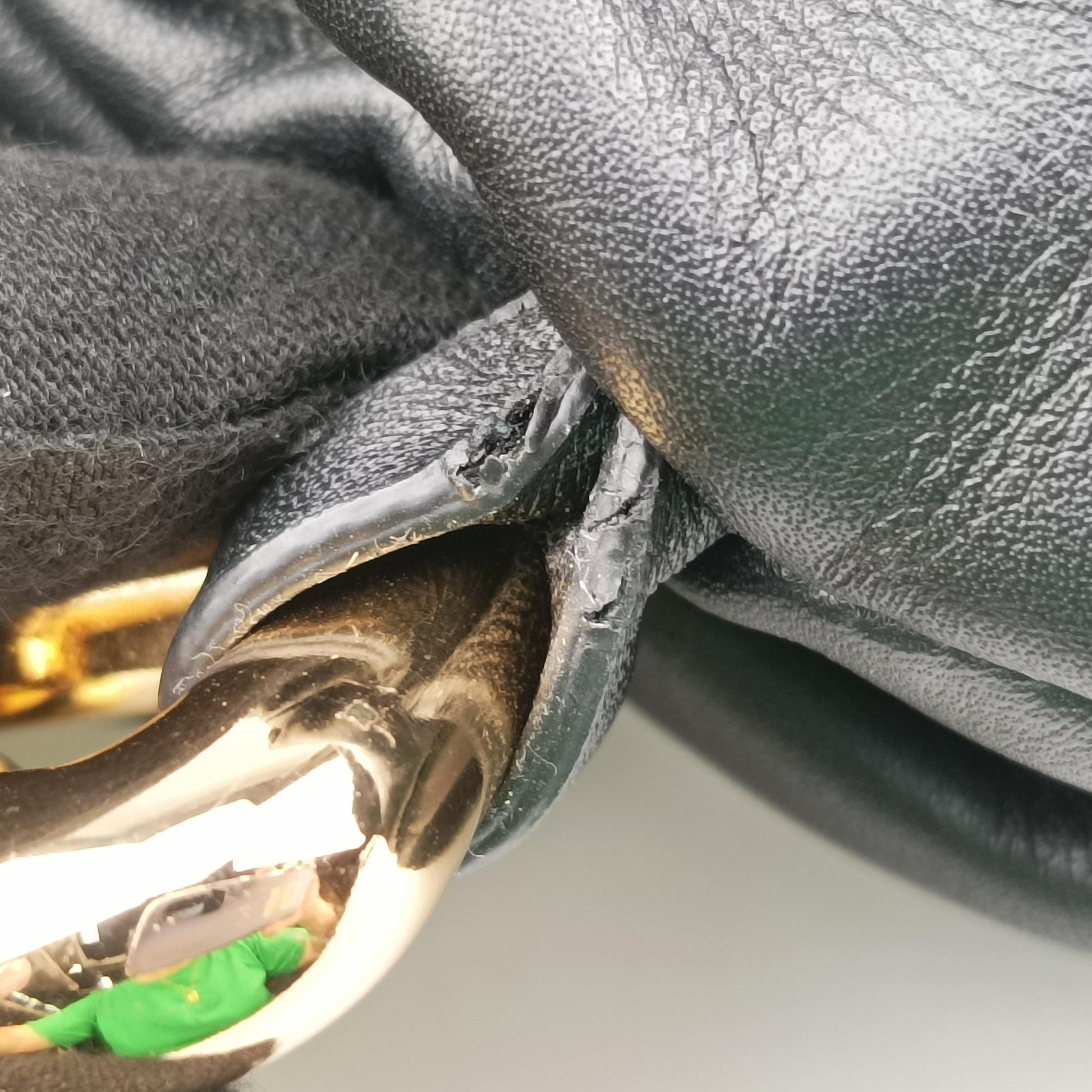 THE Chain Pouch Black lambskin B08983362Qザ チェーン ポーチ ブラック ラムスキン B08983362Q
