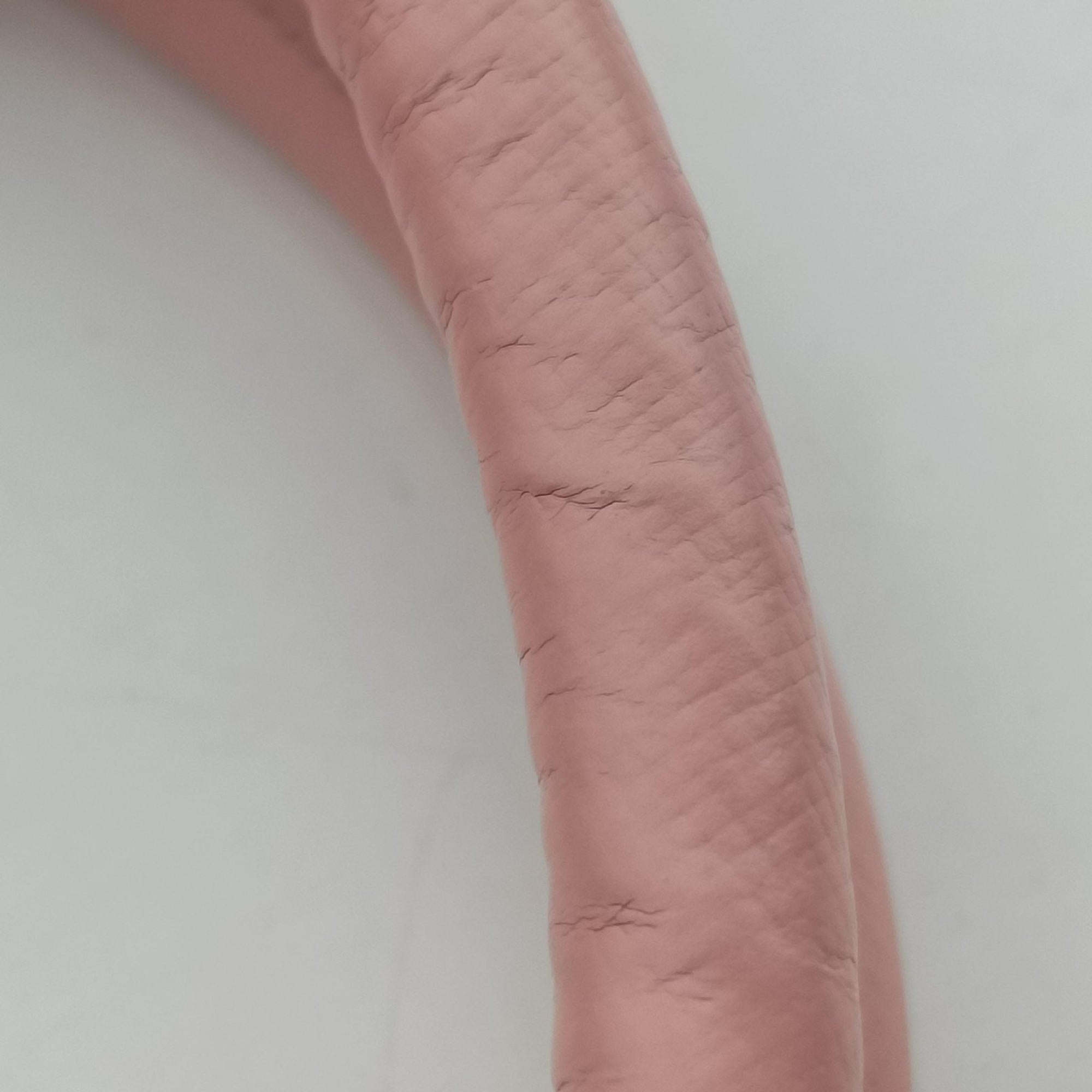Galleria Pink SAFFIANO Leather BN1786 162ガレリア ピンク サフィアーノレザー BN1786 162