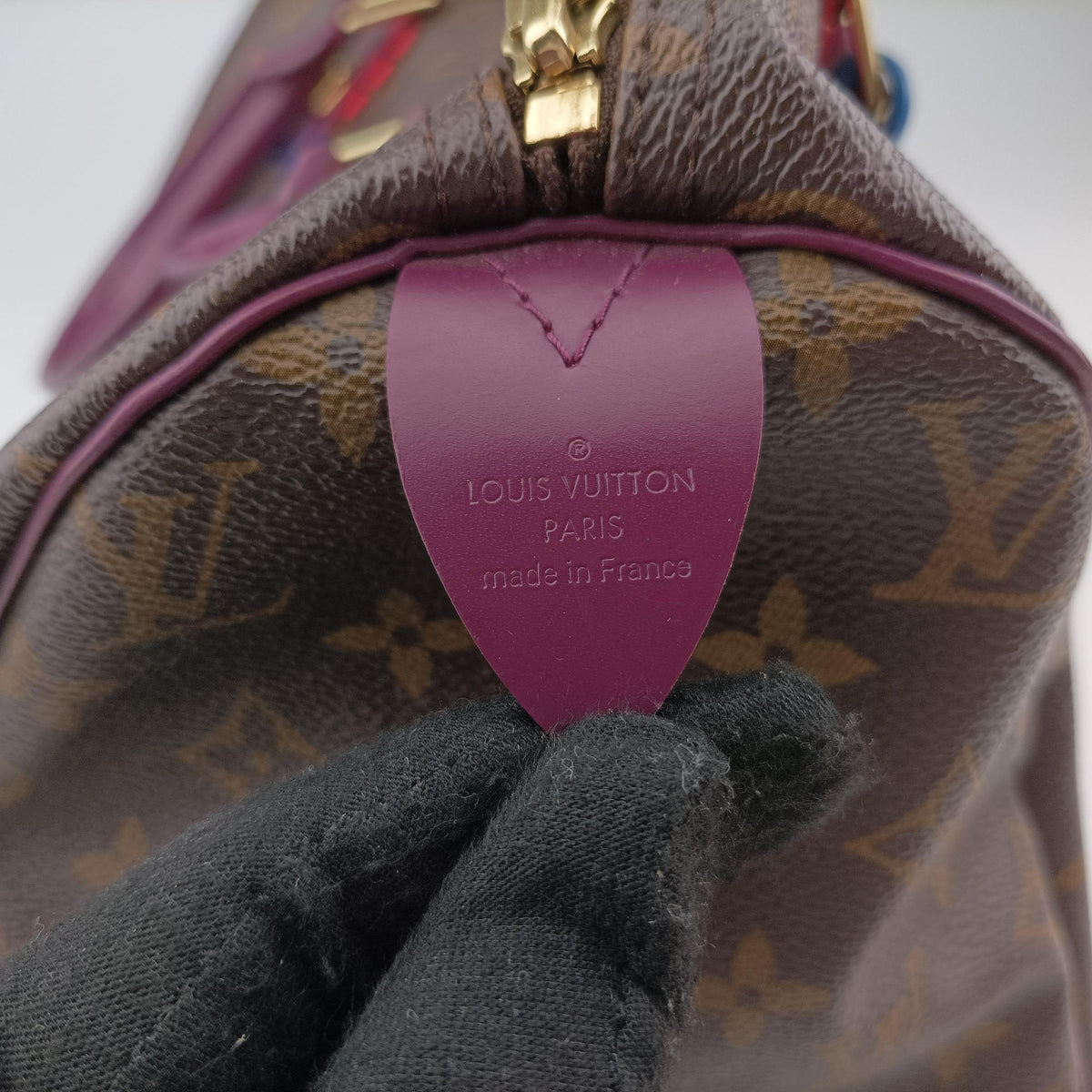 Pre-owned Louis Vuitton Speedy30 brown×Magenta Monogram Totem M41666 handbag | stylenewstar