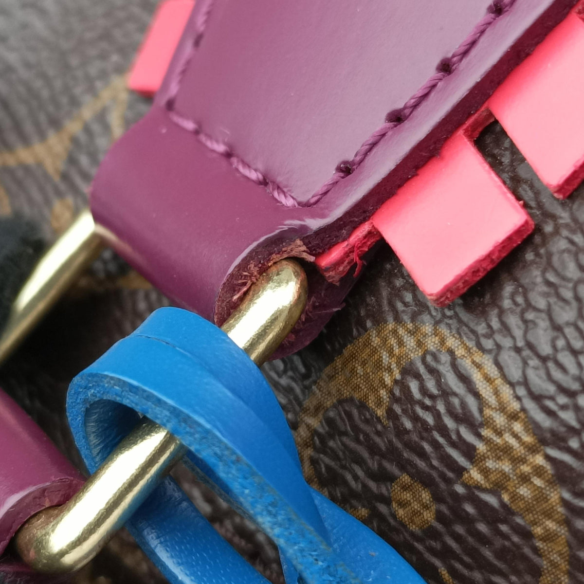 Pre-owned Louis Vuitton Speedy30 brown×Magenta Monogram Totem M41666 handbag | stylenewstar