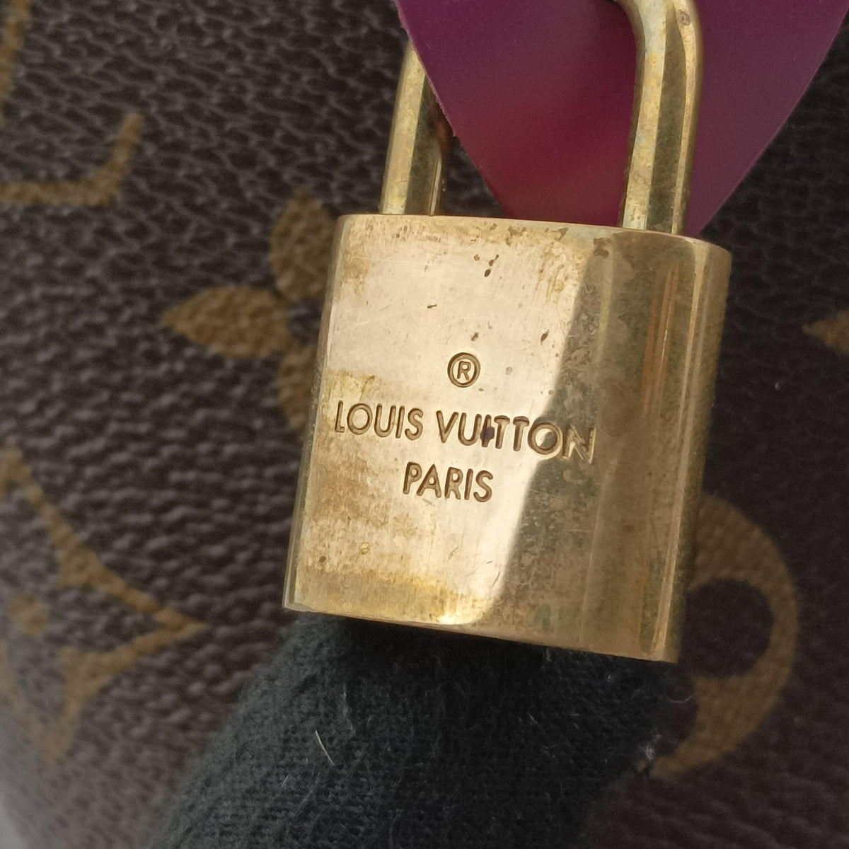 Pre-owned Louis Vuitton Speedy30 brown×Magenta Monogram Totem M41666 handbag | stylenewstar