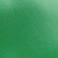 Horsebit 1955 Green Leather 602204 B034856006ホースビット 1955 グリーン レザー 602204 B034856006