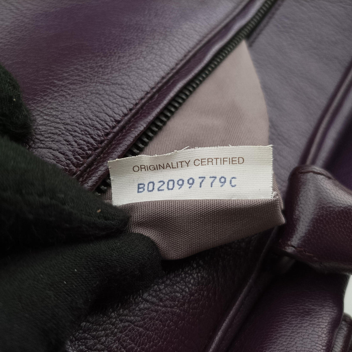 Intrecciato business Purple Leather B02099779Cイントレチャート ビジネス パープル レザー B02099779C