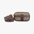 Ophidia Brown PVC coated canvas 519308 オフィディア ブラウン PVCコーティングキャンバス 519308 