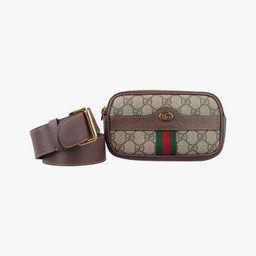 Ophidia Brown PVC coated canvas 519308 オフィディア ブラウン PVCコーティングキャンバス 519308 